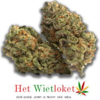 Amnesia wiet, Wietkopen, online wiet kopen, het Wietloket