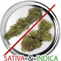 Het Wietloket, Sativa & Indica, wiet online bestellen en kopen