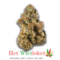 Gelato wiet, Wietkopen, online wiet kopen, het Wietloket