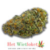 Honey badger haze, Wietkopen, online wiet kopen, het Wietloket