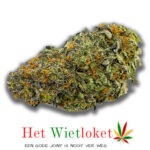 Honey badger haze, Wietkopen, online wiet kopen, het Wietloket