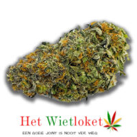 Honey badger haze, Wietkopen, online wiet kopen, het Wietloket