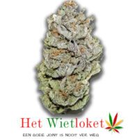 Super Silver haze, Wietkopen, online wiet kopen, het Wietloket