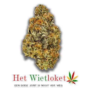 Orange kush wiet van het Wietloket
