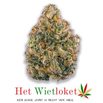 Platinum cookies, Wietkopen, online wiet kopen, het Wietloket