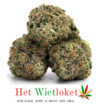 Cheese wiet :  Connoisseur Collection > 5 gram