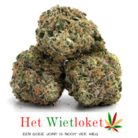 Cheese wiet, Wietkopen, online wiet kopen, het Wietloket
