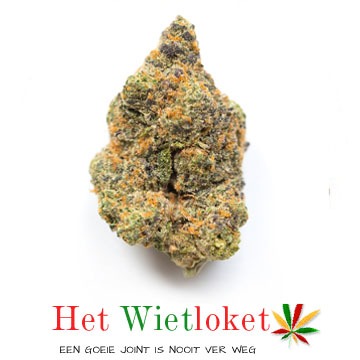 Girl scout cookies wiet, Wietkopen, online wiet kopen, het Wietloket