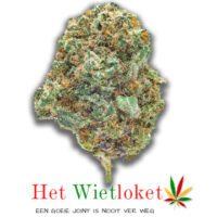 Blueberry cheesecake wiet, Wietkopen, online wiet kopen, het Wietloket