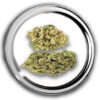 Sunset Sherbert wiet> 5 gram