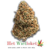Wietkopen, online wiet kopen, het Wietloket