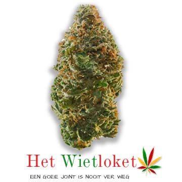 Candy Kush, wiet, online wiet kopen, wietkopen. Spaar ook wietpunten. Het Wietloket