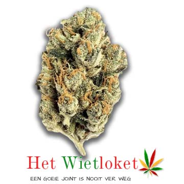 G13 wiet, wiet, online wiet kopen, wietkopen. Spaar ook wietpunten. Het Wietloket