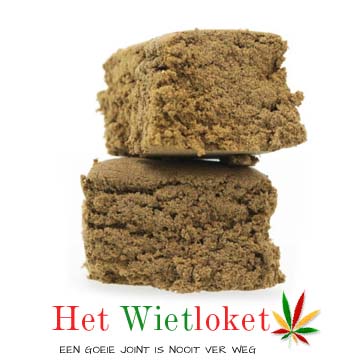 Mimosa hasj, hasj van Het Wietloket