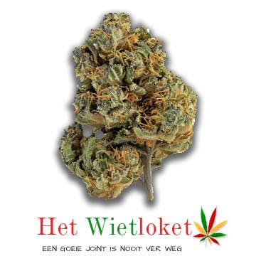 SKunk #1 wiet, wiet, online wiet kopen, wietkopen. Spaar ook wietpunten. Het Wietloket.