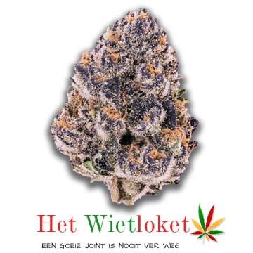 SuperBoof, wiet, online wiet kopen, wietkopen. Spaar ook wietpunten. Het Wietloket.