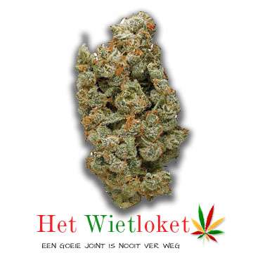 G13 haze wiet van Het Wietloket