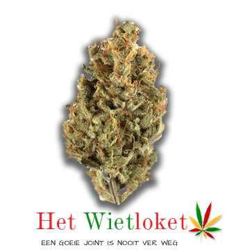 Gorilla butter wiet van Het Wietloket