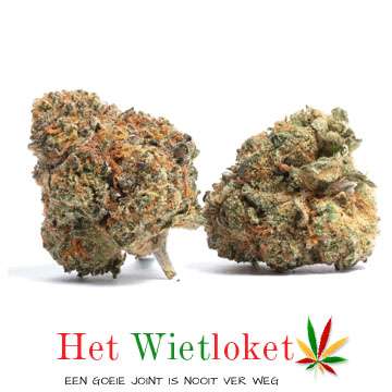 Online wiet kopen purple-orange-weed-dizzy-duck van het Wietloket