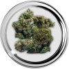 Het Wietloket, S5 haze , Online wiet bestellen en kopen