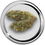 HET WIETLOKET, Chocolope wiet, bestel hier online