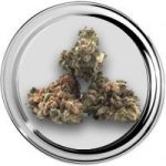 Het Wietloket, Gorilla Blue CANADA , Online wiet bestellen en kopen