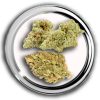 Het Wietloket, Online wiet kopen. Altijd gratis wiet & hasj. Amnesia Lemon