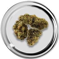 Blue Zkittlez wiet. Het Wietloket . Online wiet bestellen en kopen