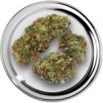 Het Wietloket, WHITE BUBBLEGUM USA, online wiet kopen