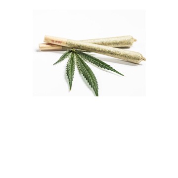 Het Wietloket, online joints kopen