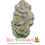 Super Silver haze, Wietkopen, online wiet kopen, het Wietloket