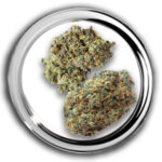 Girl Scout Cookies wiet van het wietloket