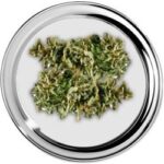 Sugar Punch > 5 gram