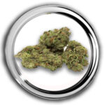 Gorilla Butter > 5 gram