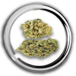 Dr. Bubbles wiet van het Wietloket. Fijne haze, lekker fris