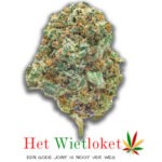Blueberry Cheesecake wiet> 5 gram Connoiseur Collectie