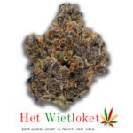 Oreo Runtz > 5 gram, Connoisseurs Collectie