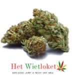 Blue Cookies wiet> 5 gram Connoiseur Collectie