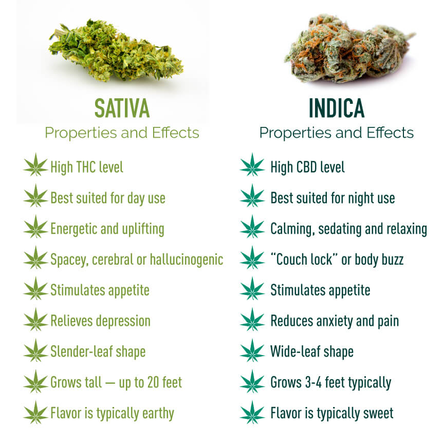 De beste medicinale wiet