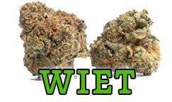 online wiet kopen bij het Wietloket