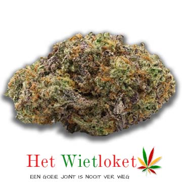Miracle Alien Cookies van het Wietloket