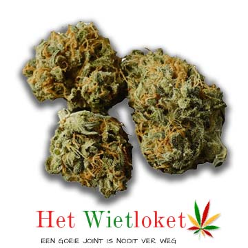 gorilla glue wiet van het Wietloket